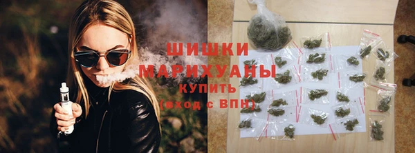 круглые Гусев