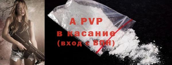 Альфа ПВП Гусиноозёрск
