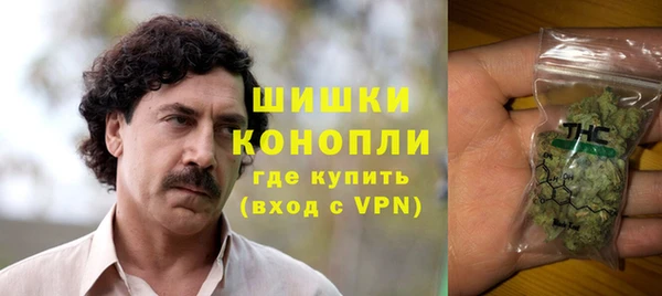 Альфа ПВП Гусиноозёрск