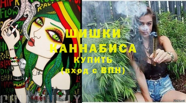 круглые Гусев