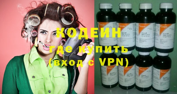 круглые Гусев