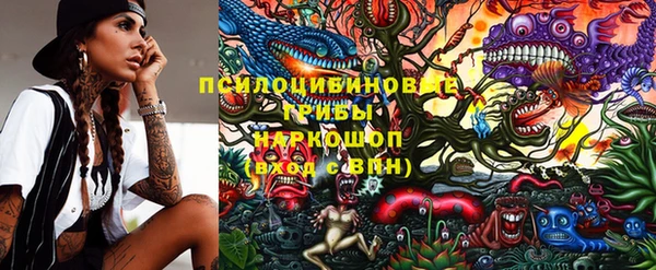 Альфа ПВП Гусиноозёрск