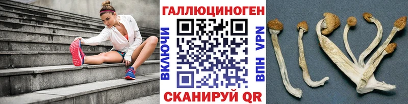 Купить Клинцы Галлюциногенные грибы мухоморы
